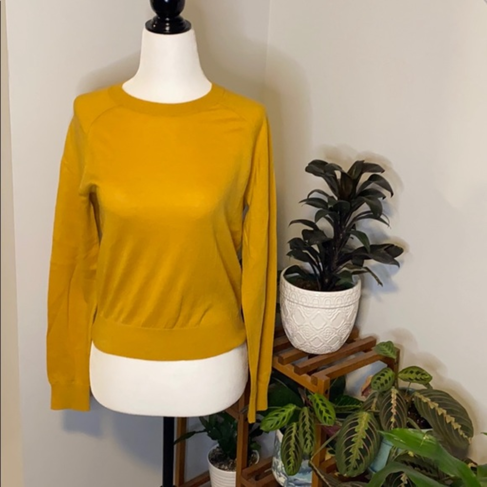 Babaton Long Sleeve‎